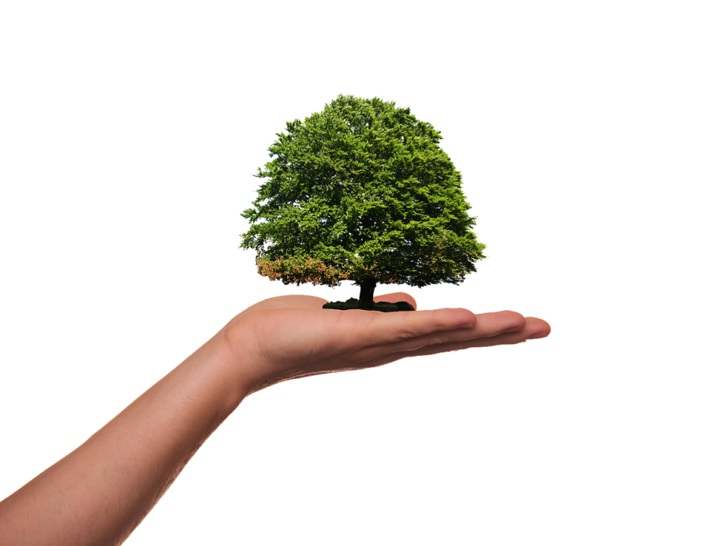 How to Build Your CSR Strategy - KindLink Global